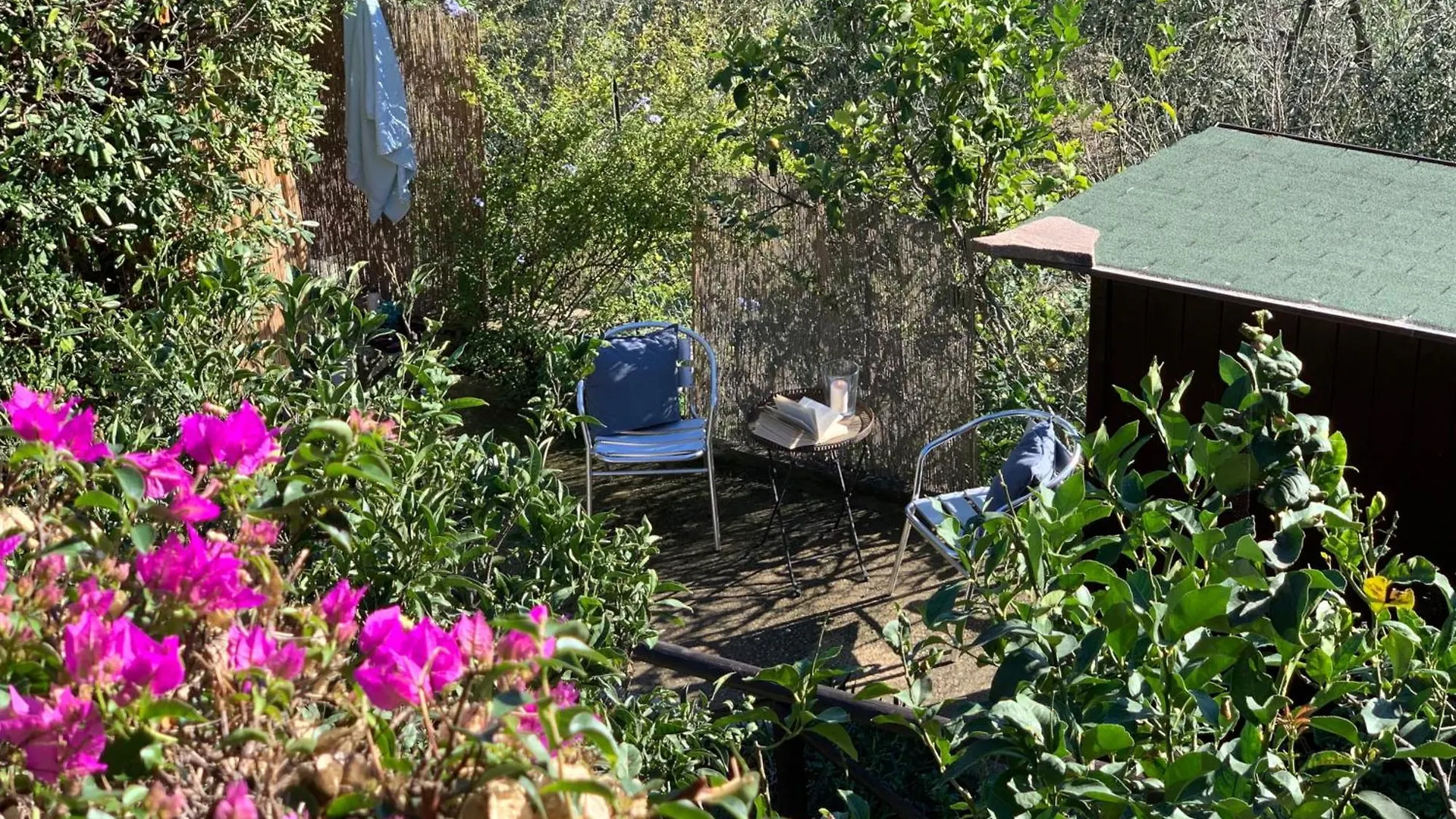 Casa Vacanze La Palma Marina di Campo Italy
